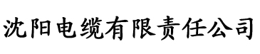 一千零一夜20032008合集电缆厂logo